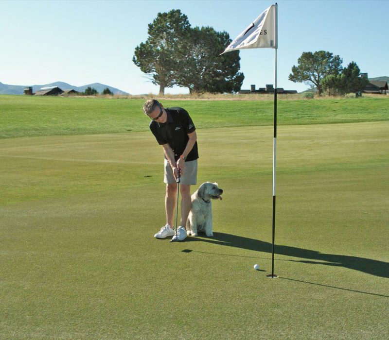 UNADJUSTEDNONRAW_thumb_7c66.jpg-2020-7-21 16.20.13 Caws For The Paws Charity Golf Tournament